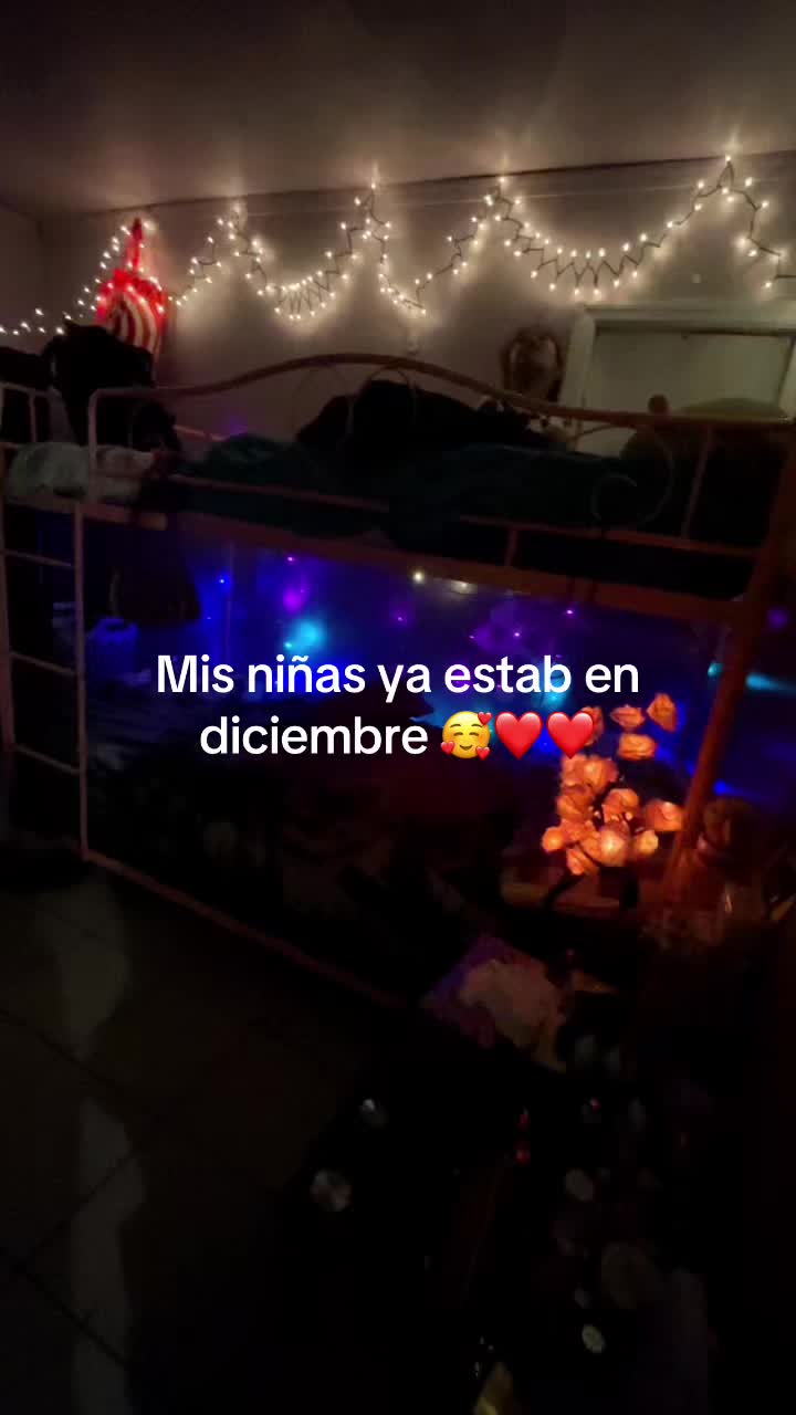 @lesly flores