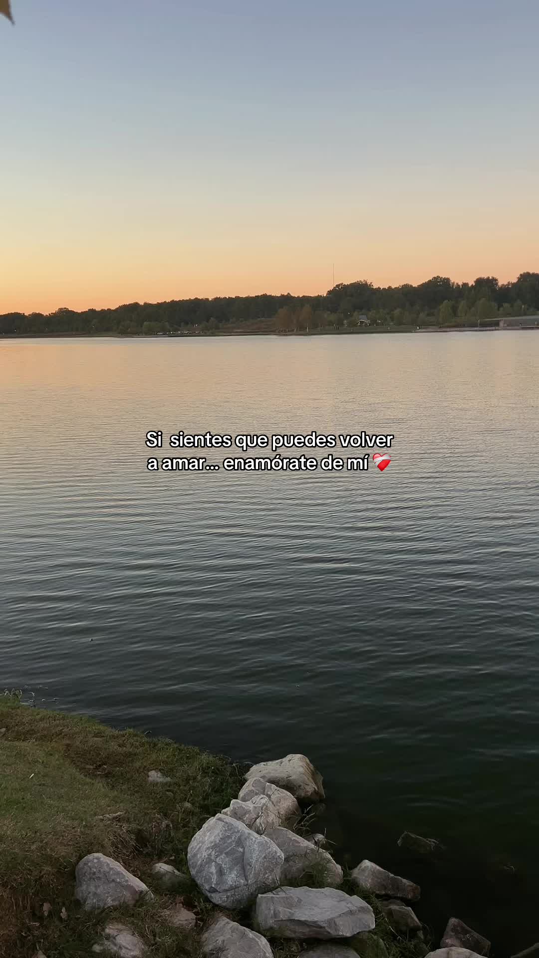 @hadadeletras