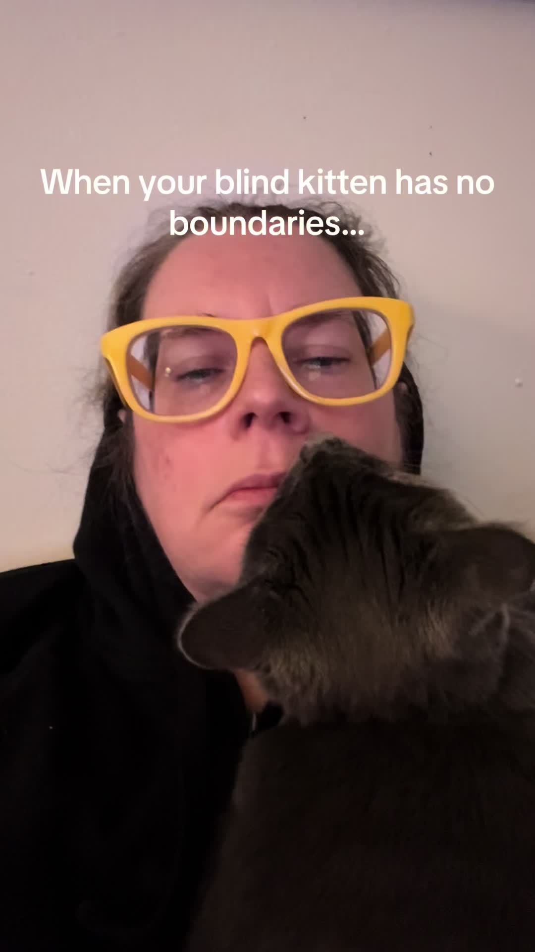 @my2blindcats