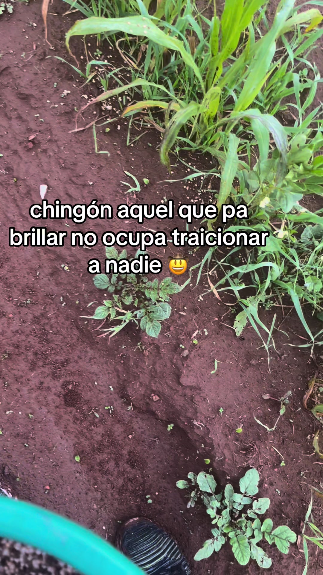 @☘️MEJ&Iacute;A ☘️T&Eacute;LLEZ ☘️ RODRIGO🤠
