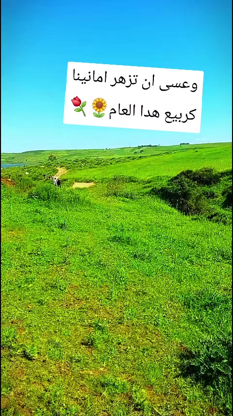@المنظر الجميل 🌴🌻