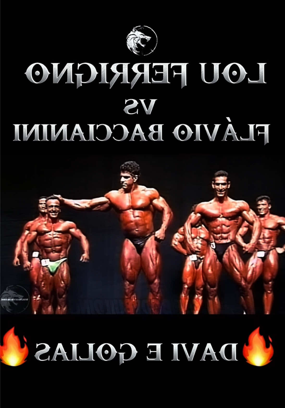 @wolfbodybuilding