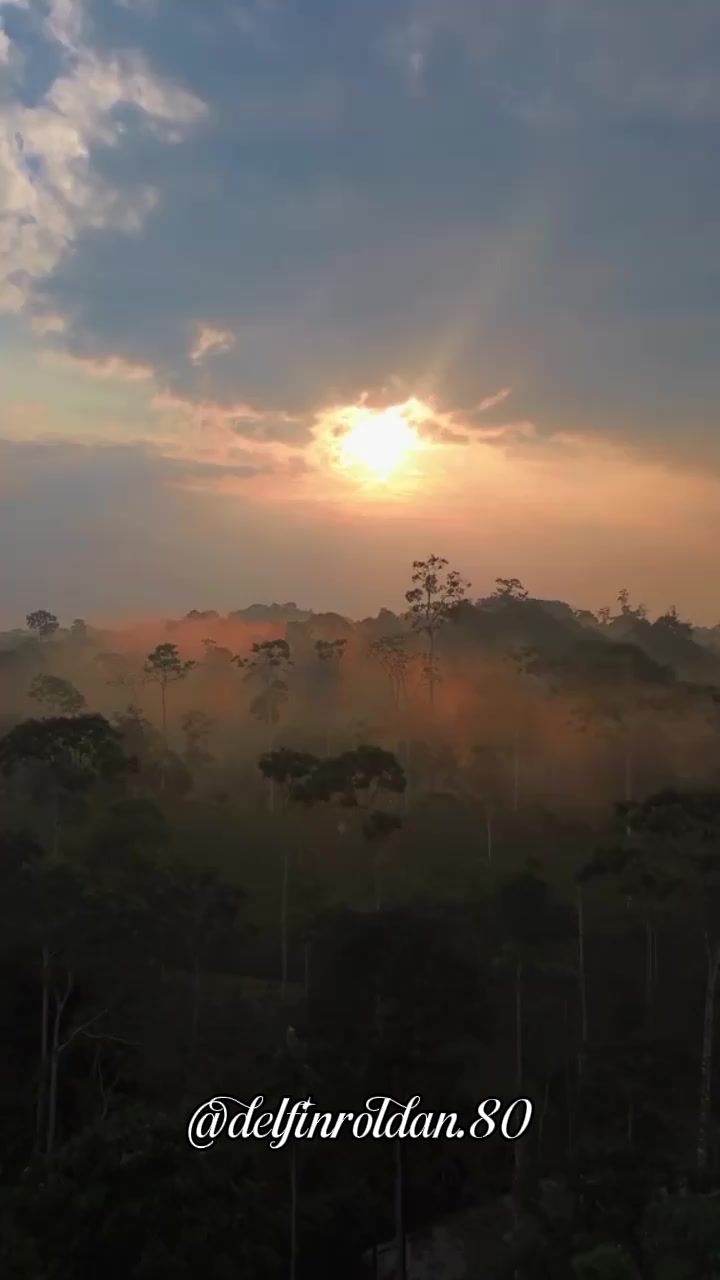 @Delfín🇪🇨
