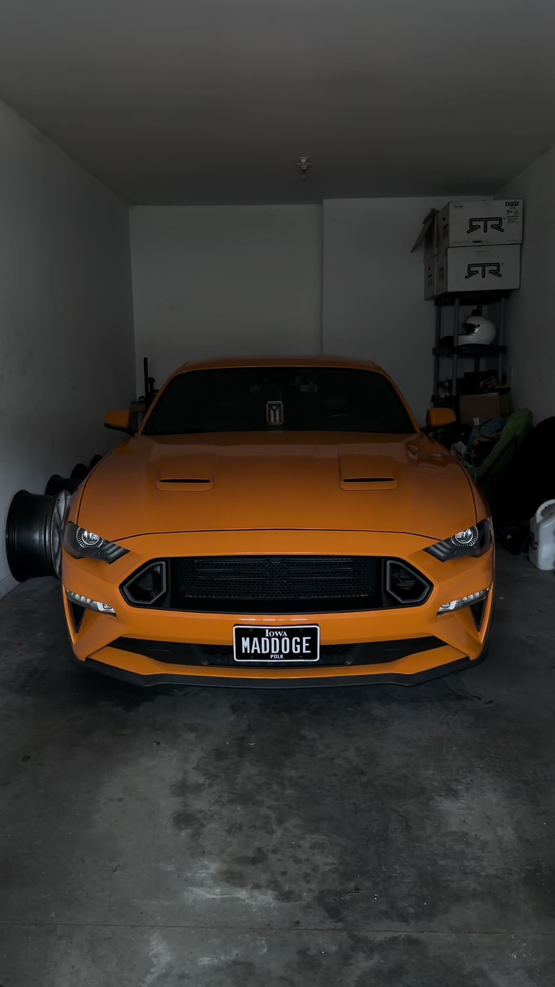 @LaVidaDeBori787PR🇵🇷🐺