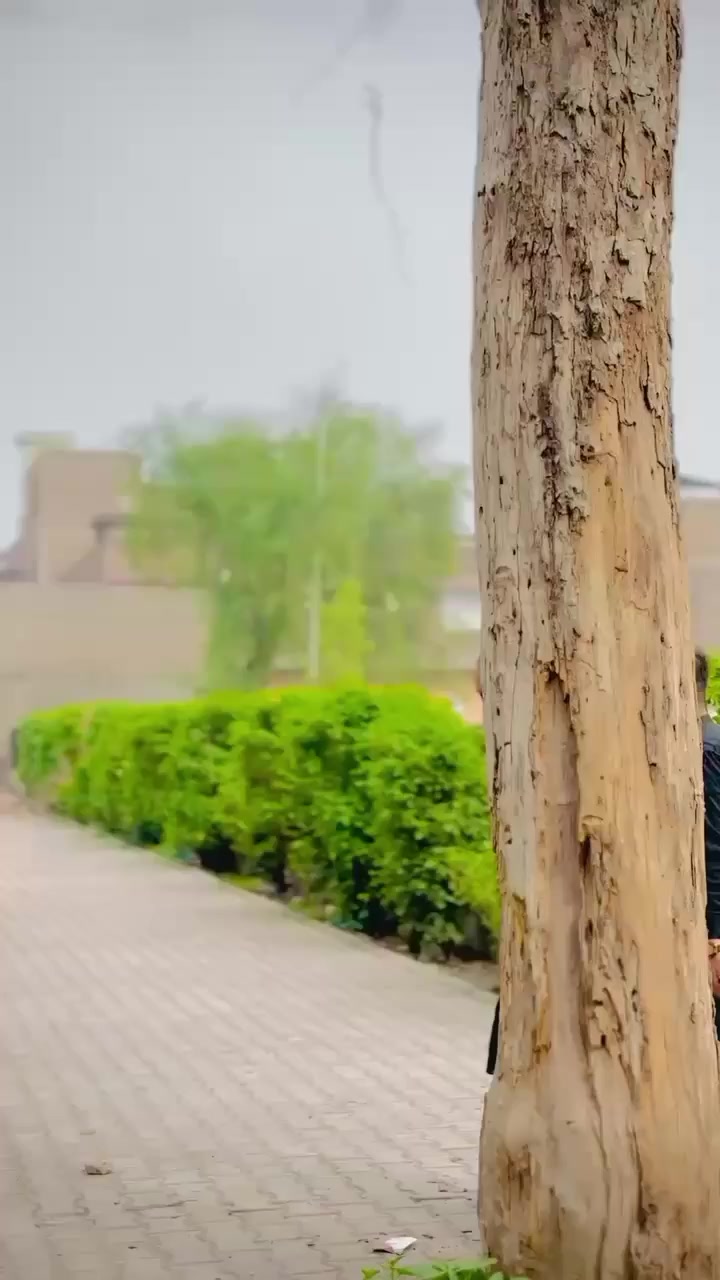 @🦅Musa Jaan 🧸