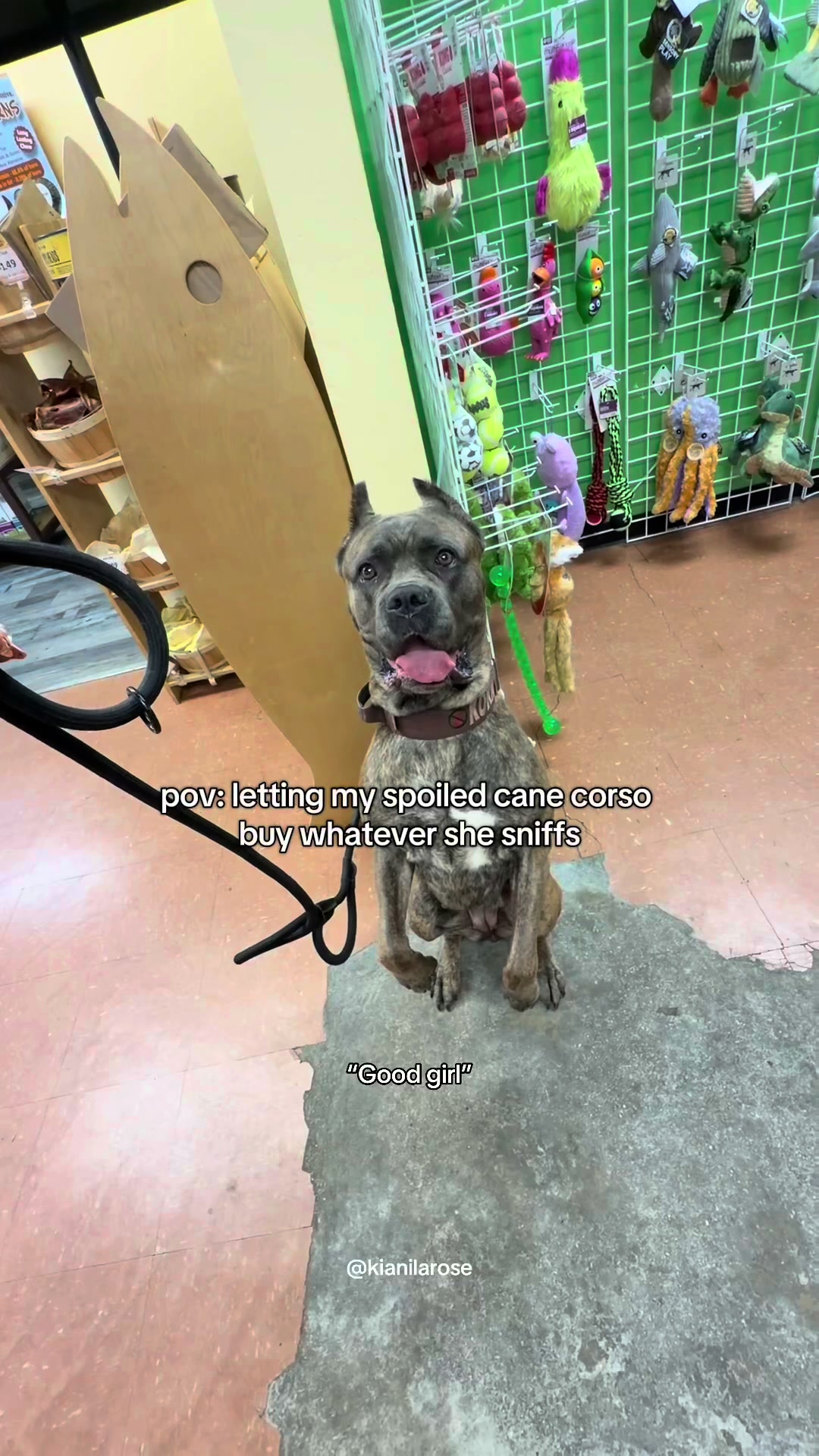 @Ki & Kora