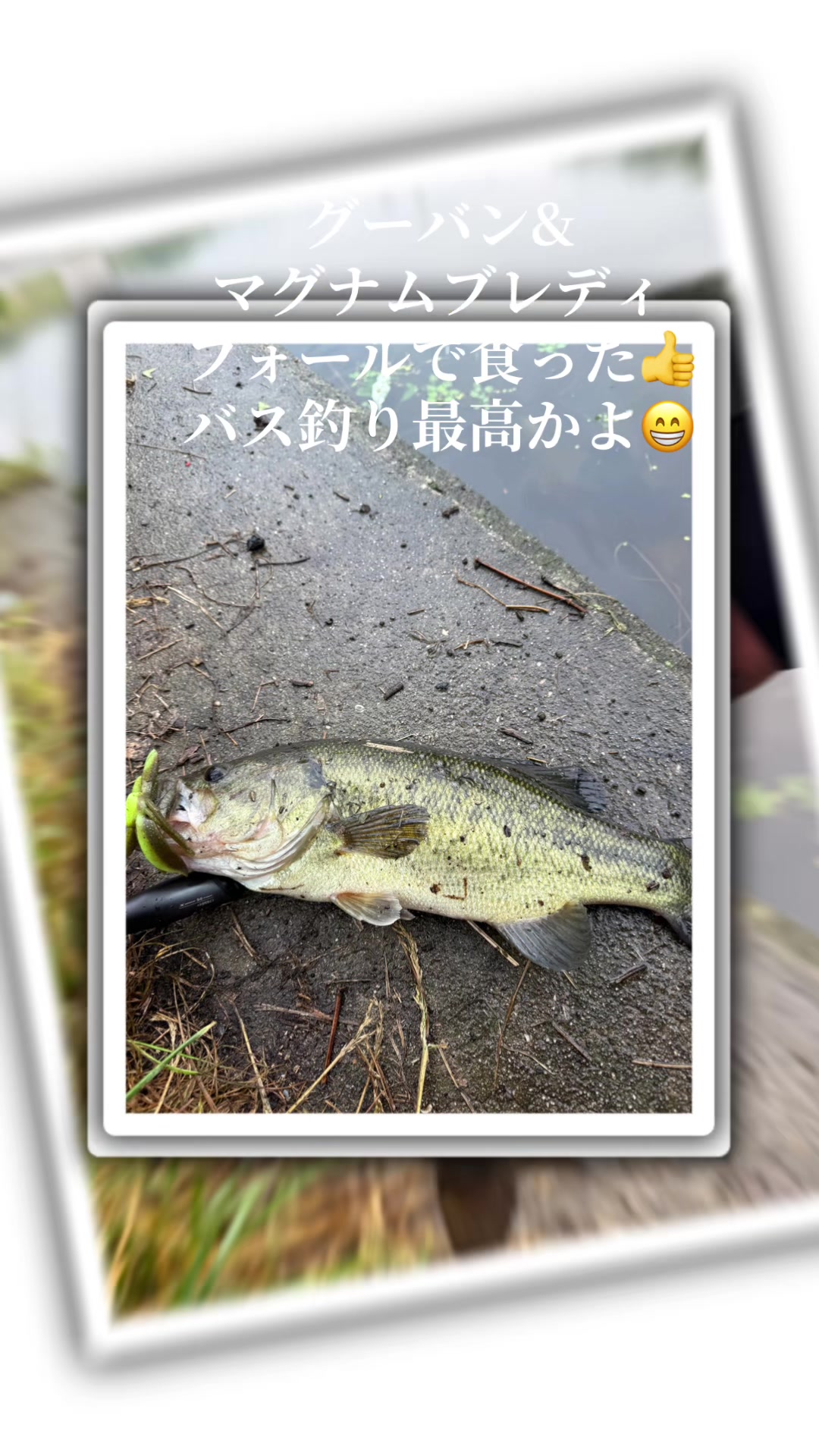 @片田舎のおっさんブラックバスを釣る