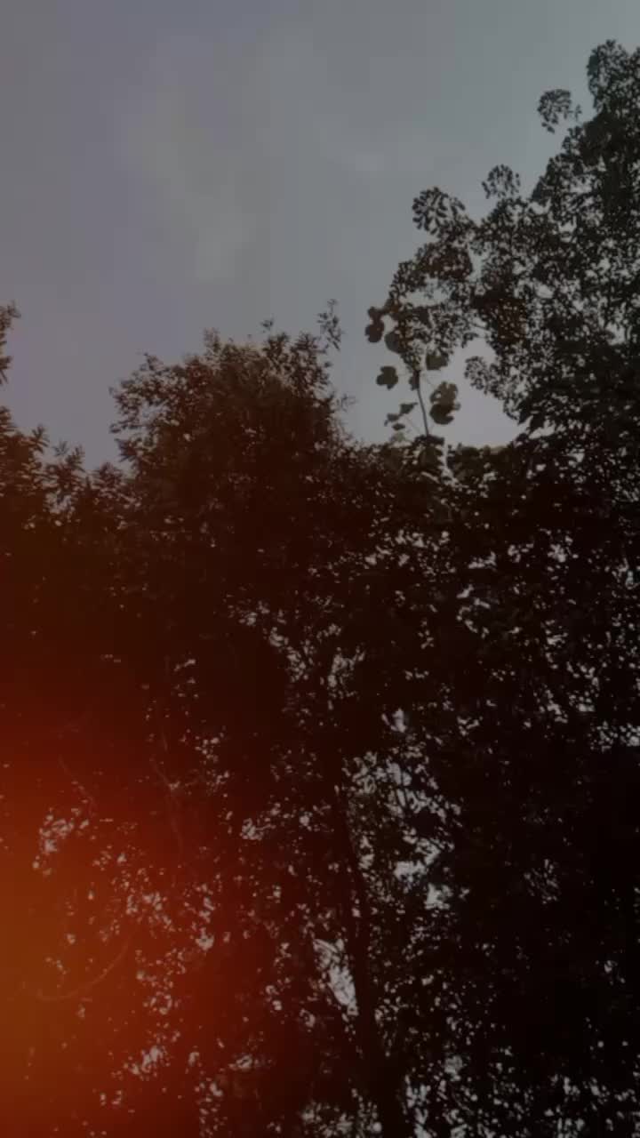 @𝐸𝑦𝑒𝑠 𝑘𝑖𝑙𝑙𝑒𝑟🪽👀💙