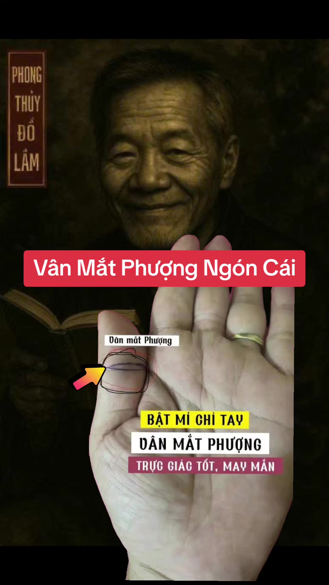 @Nh&acirc;n Tướng Sửa M&igrave;nh (Đỗ L&acirc;m)