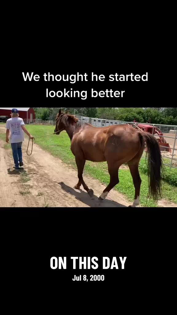 @Block Saddle Company