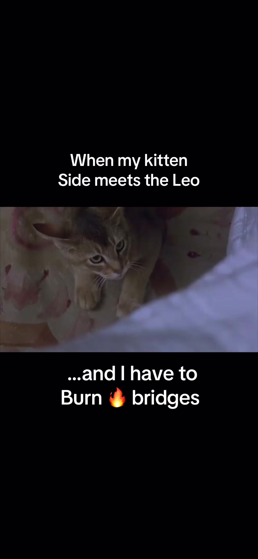 @TheLibrarienne
