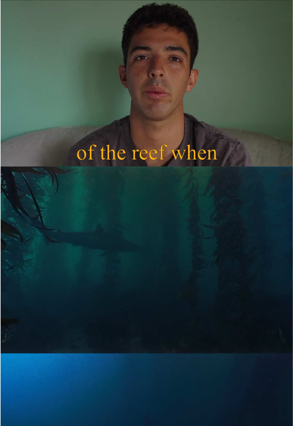 @Rusty Hunter