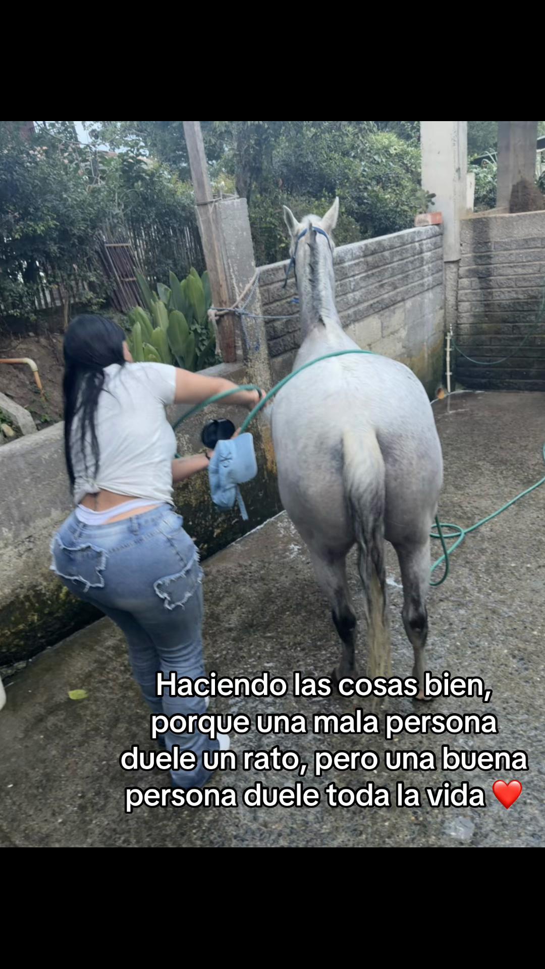 @Isabel Mutis