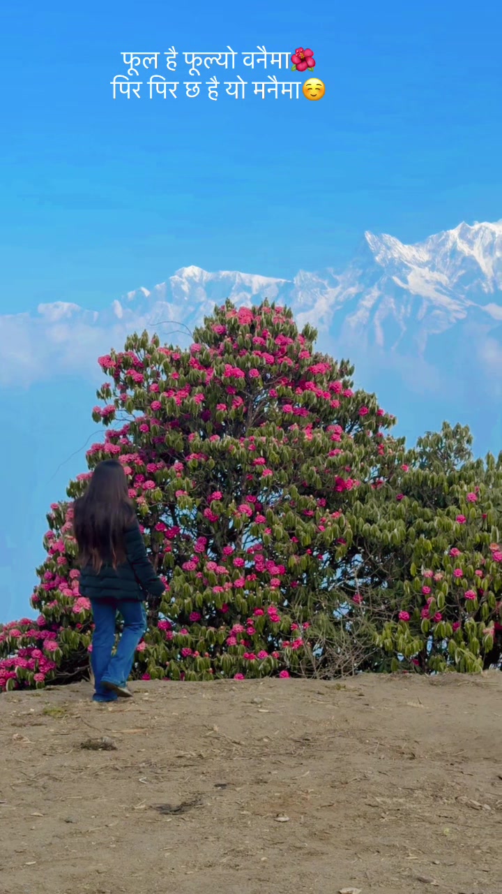@Ms. Adhikari🔱❤️