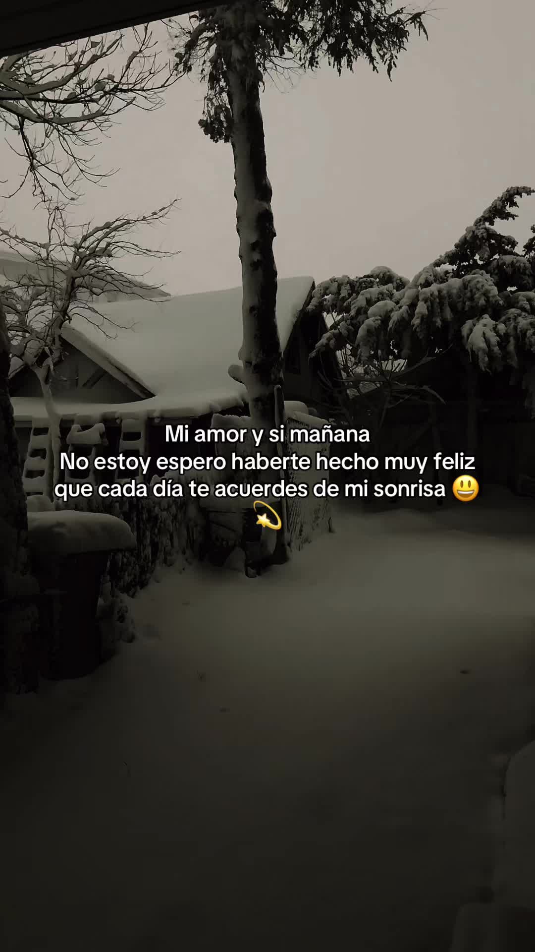 @Fausto Miño