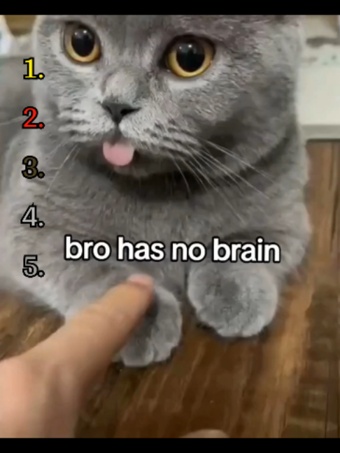 @RankingAnimalMoments