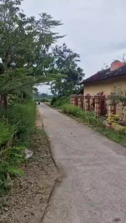 @user51798098988