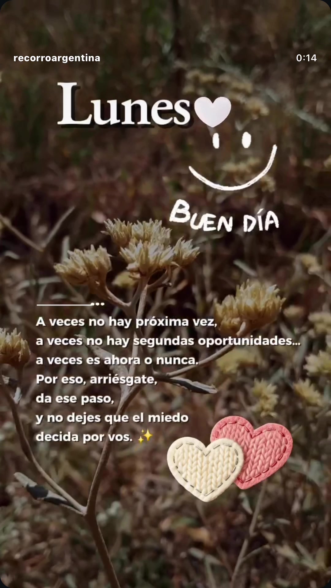 @JULIETTA AN