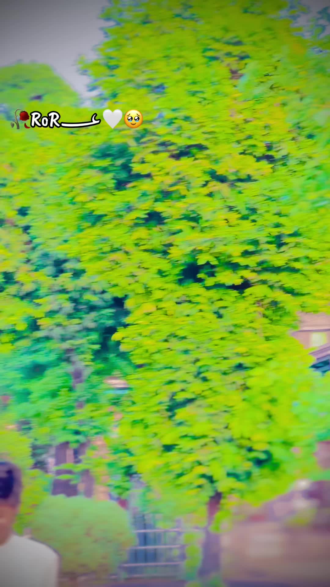@ð«ð®ðððððððððàŒïž9ð5ð¥