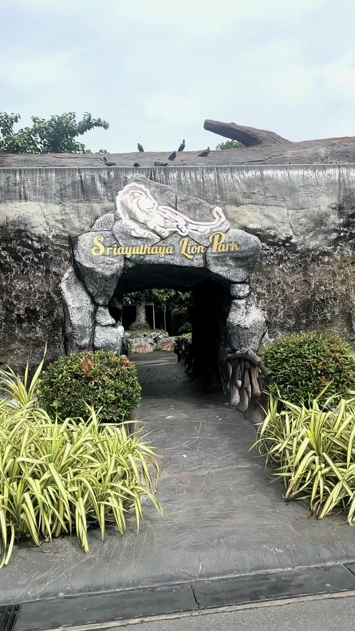 @binana🍌