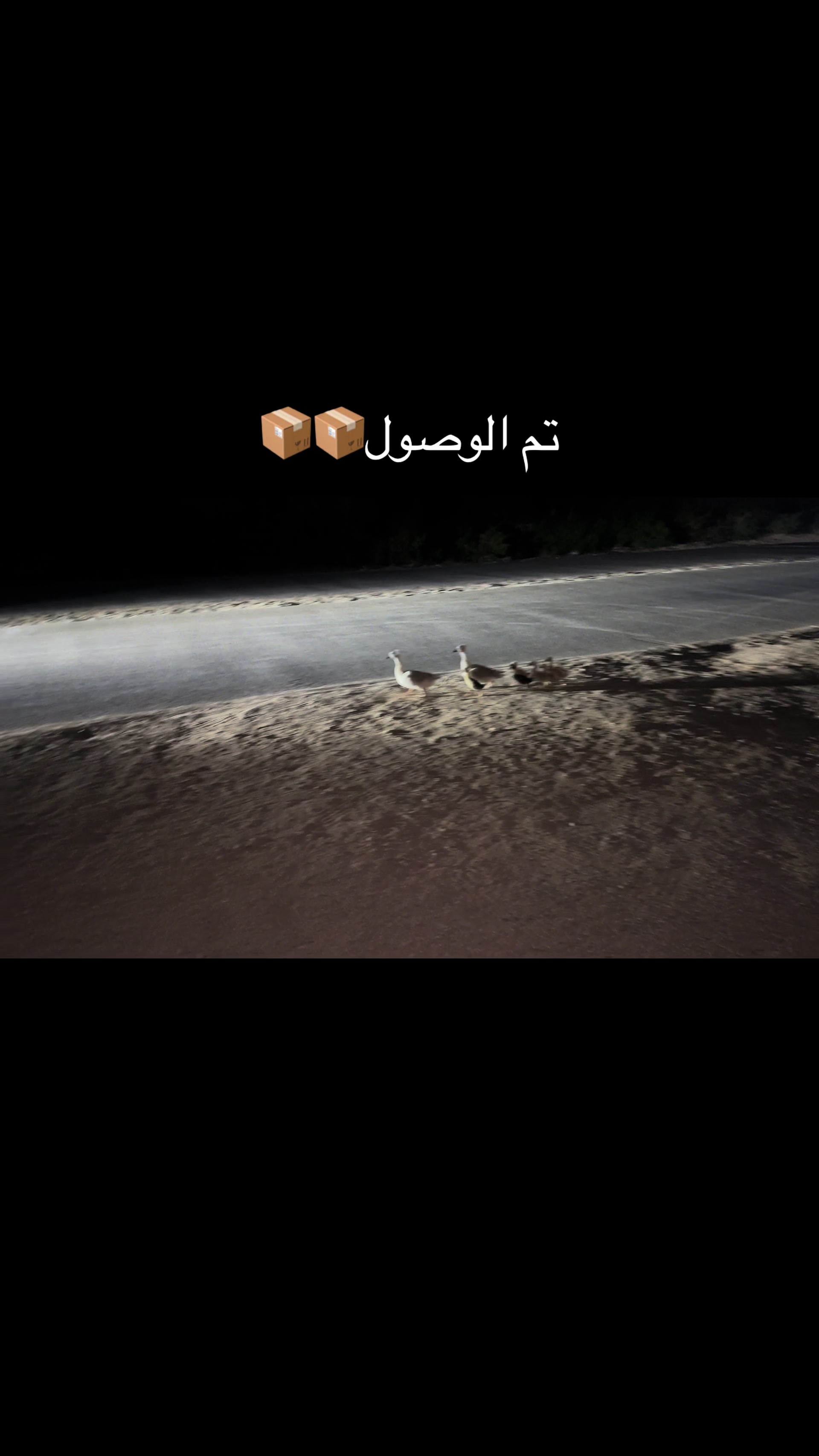 @امين جنزور