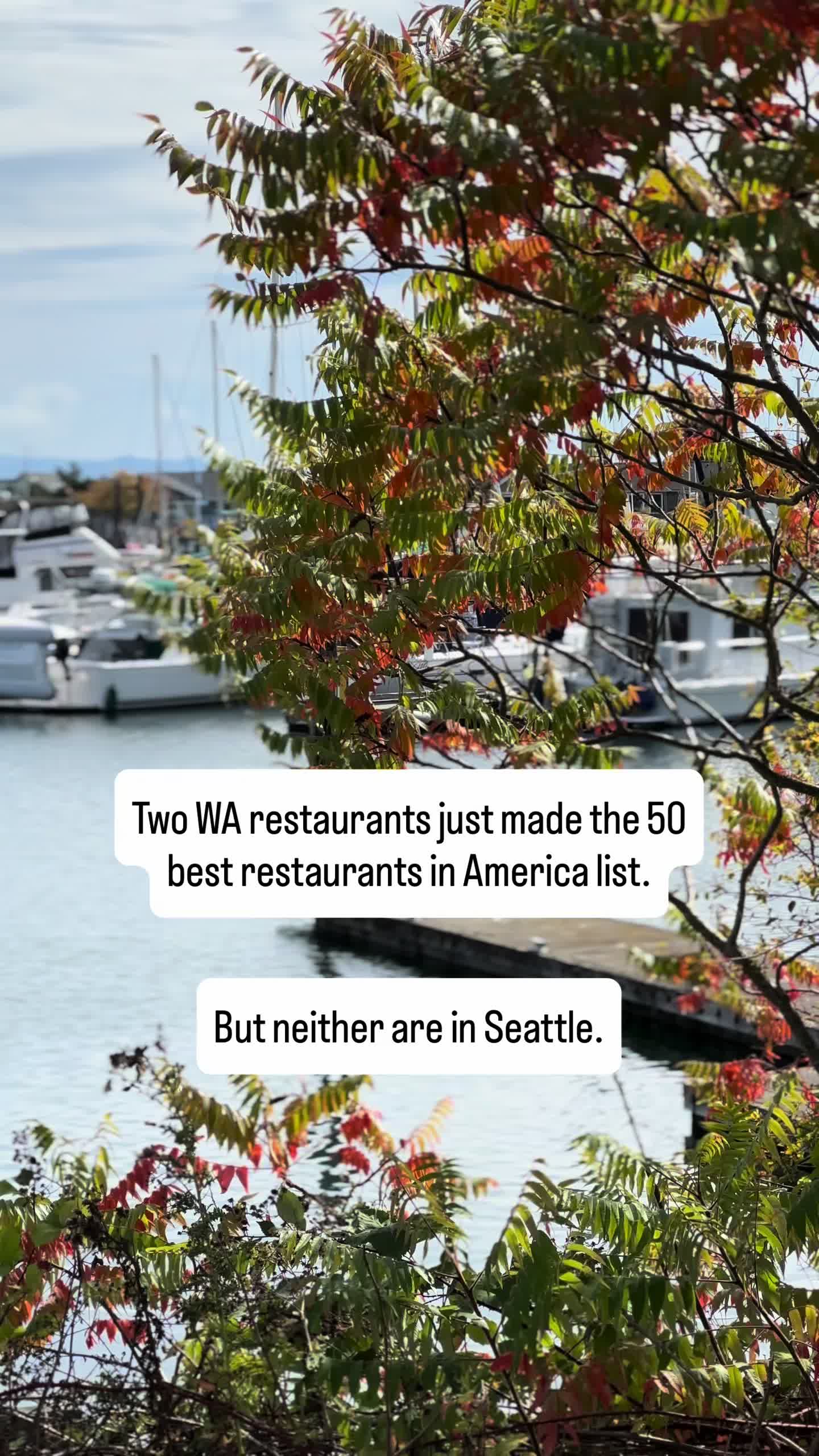 @Ryan-Seattle Real Estate Agent