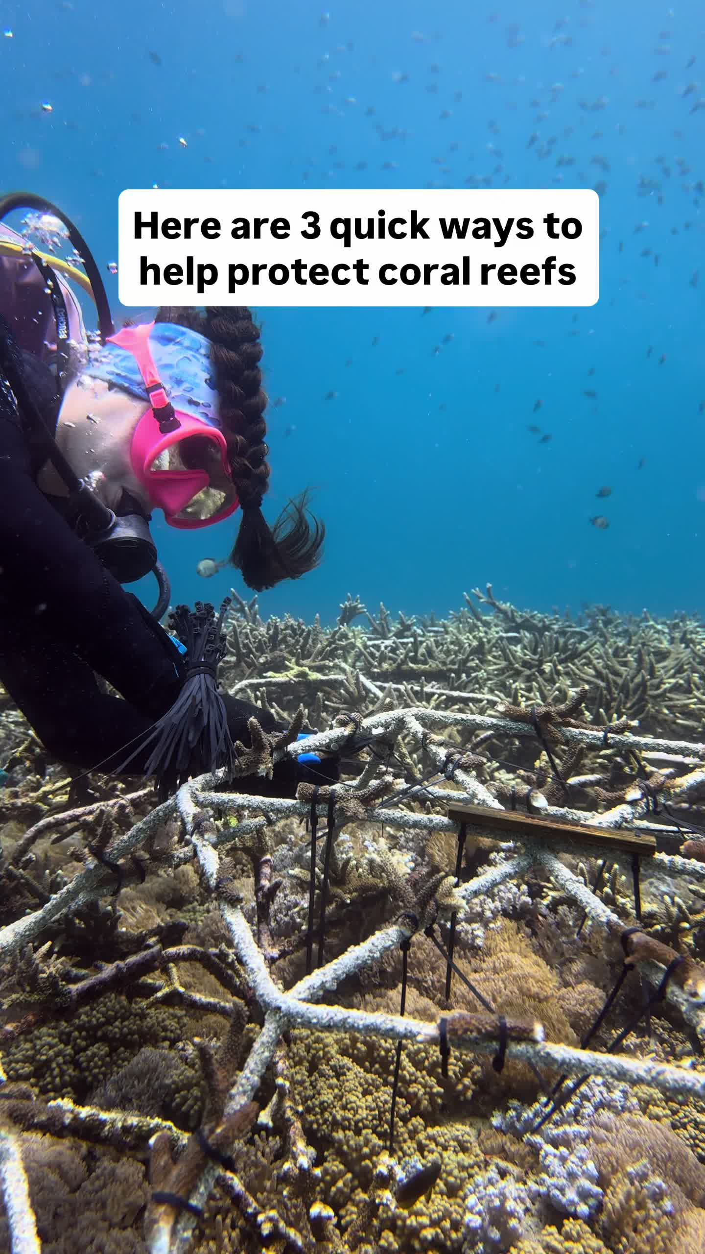 @The Dive Compass