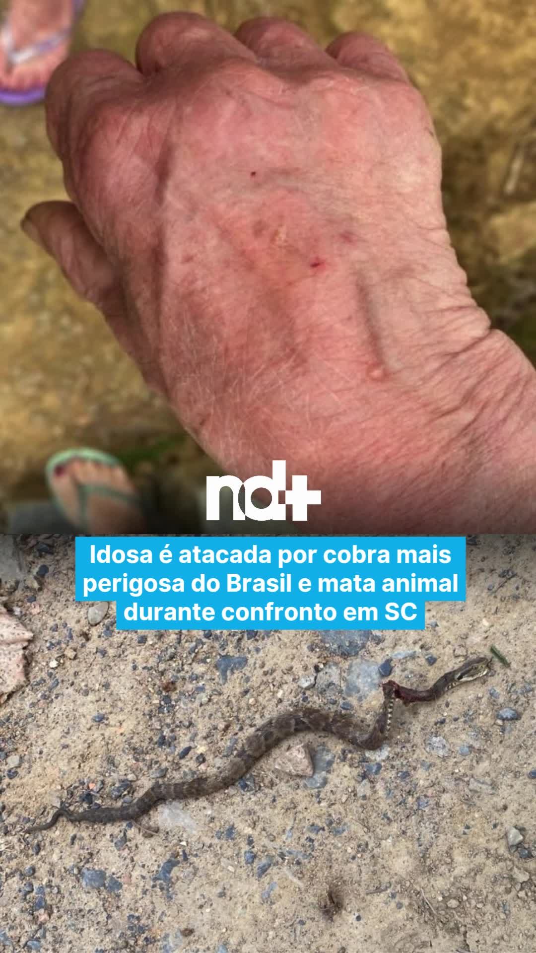 @portalndmais