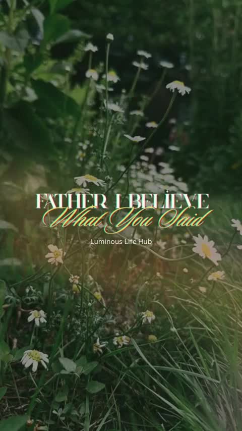 @Luminous Life Hub