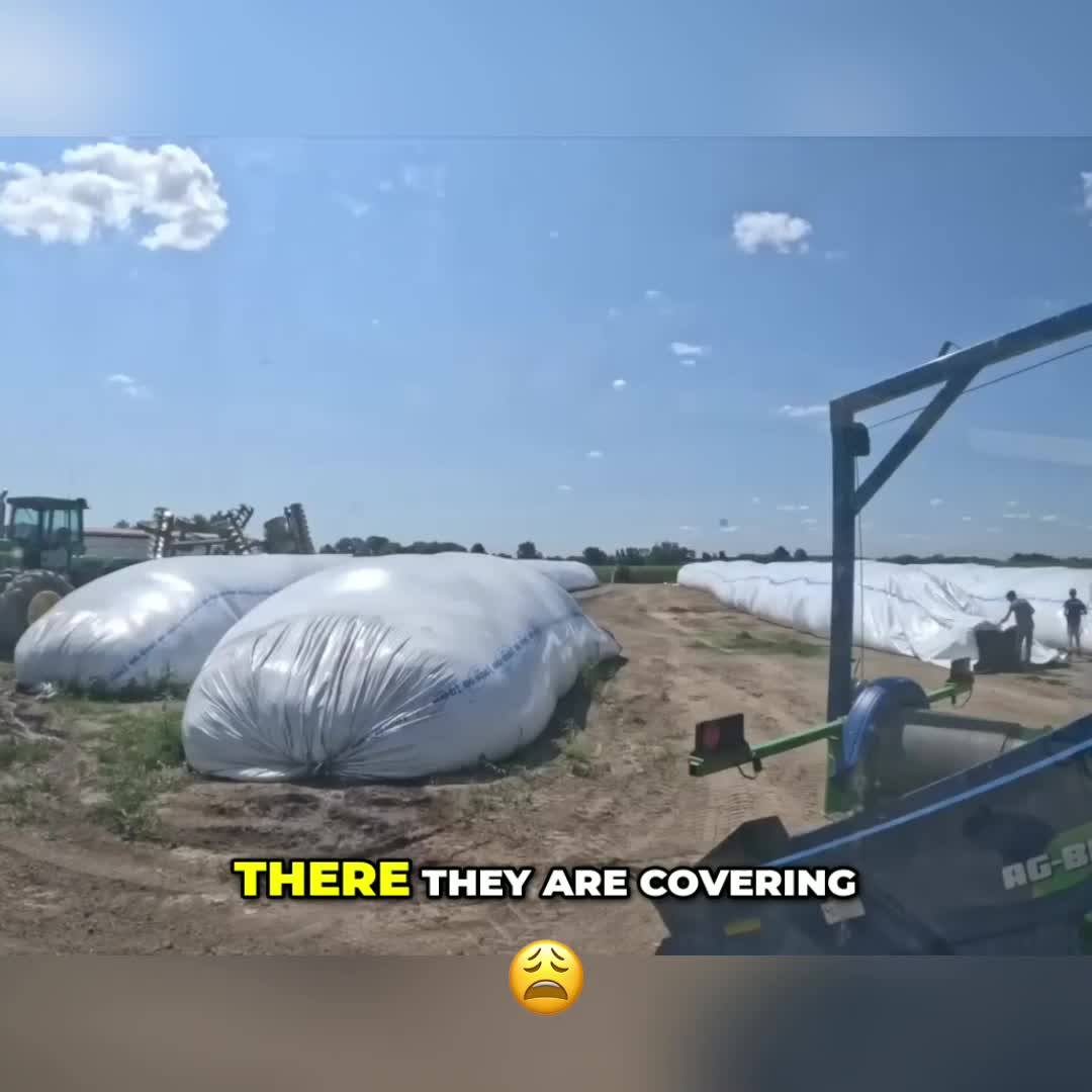 @Kip Siegler Farming