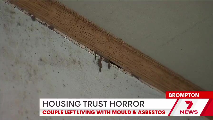 @7NEWSAdelaide