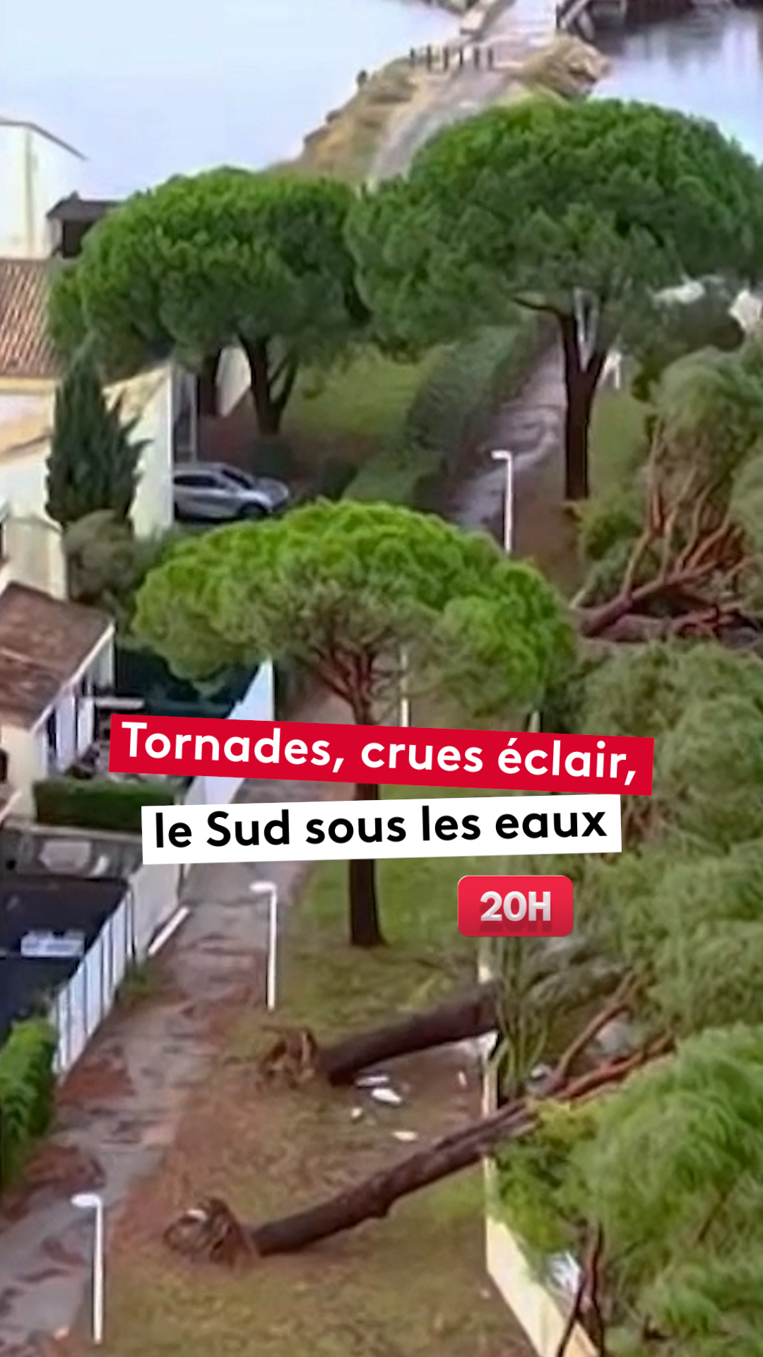 @le20hfrancetelevisions