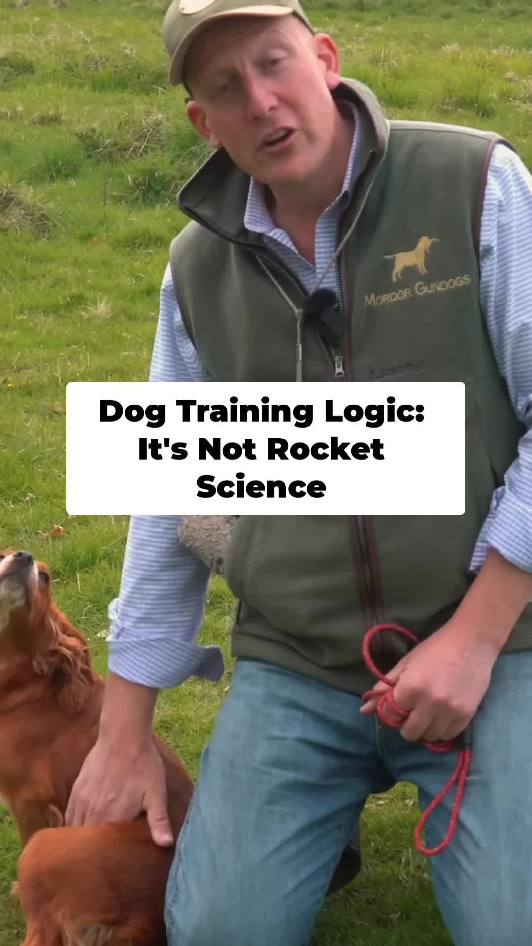 @Mordor Gundogs