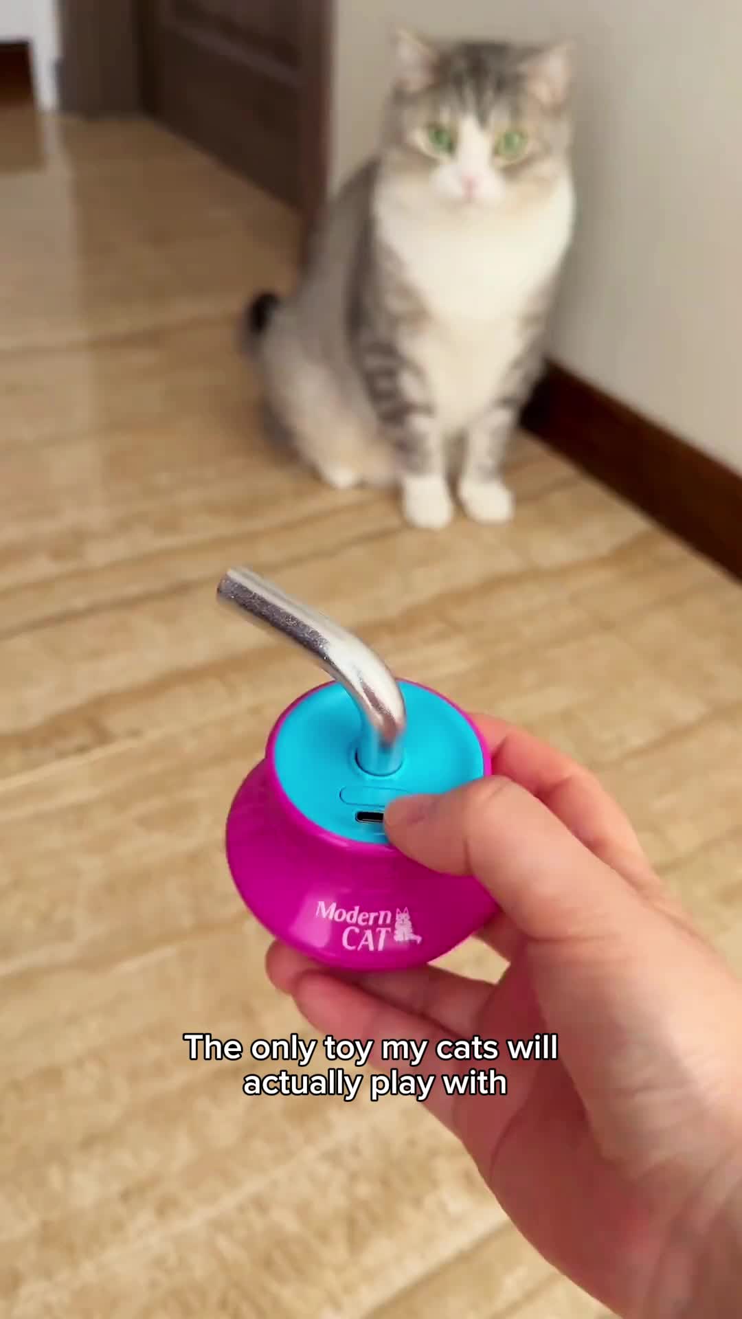 @Purrfect Oasis