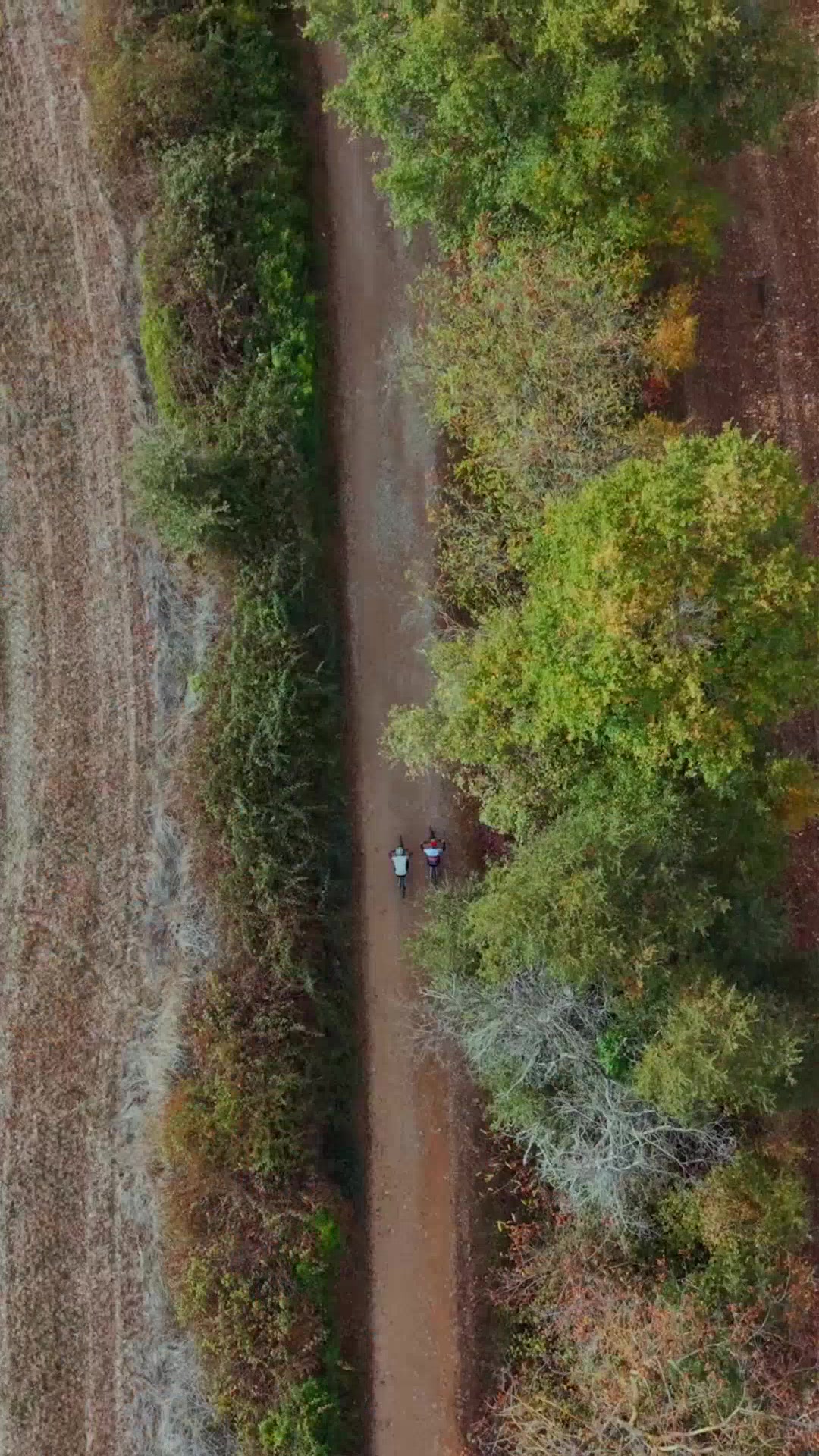 @Visit Navarra