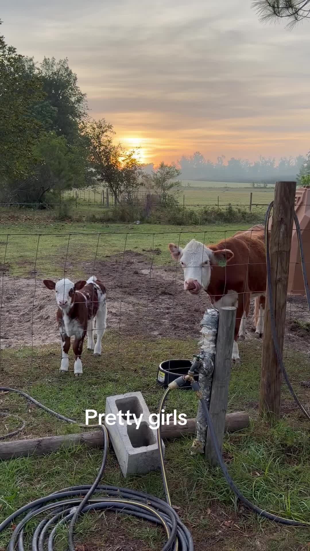 @Kelley Farms