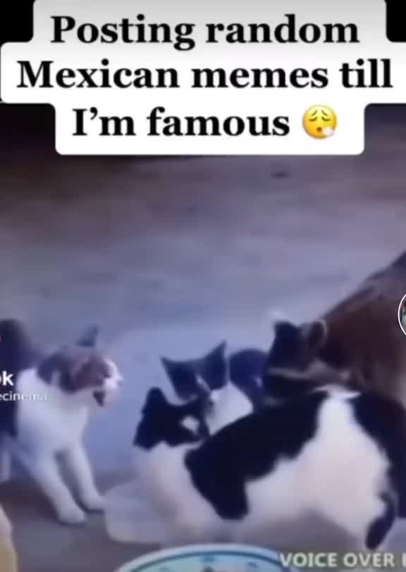 @Laughviral