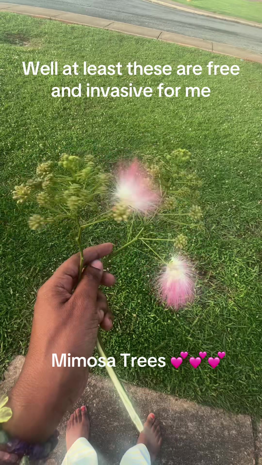 @Shunshine ☀️☀️☀️🌻🌻