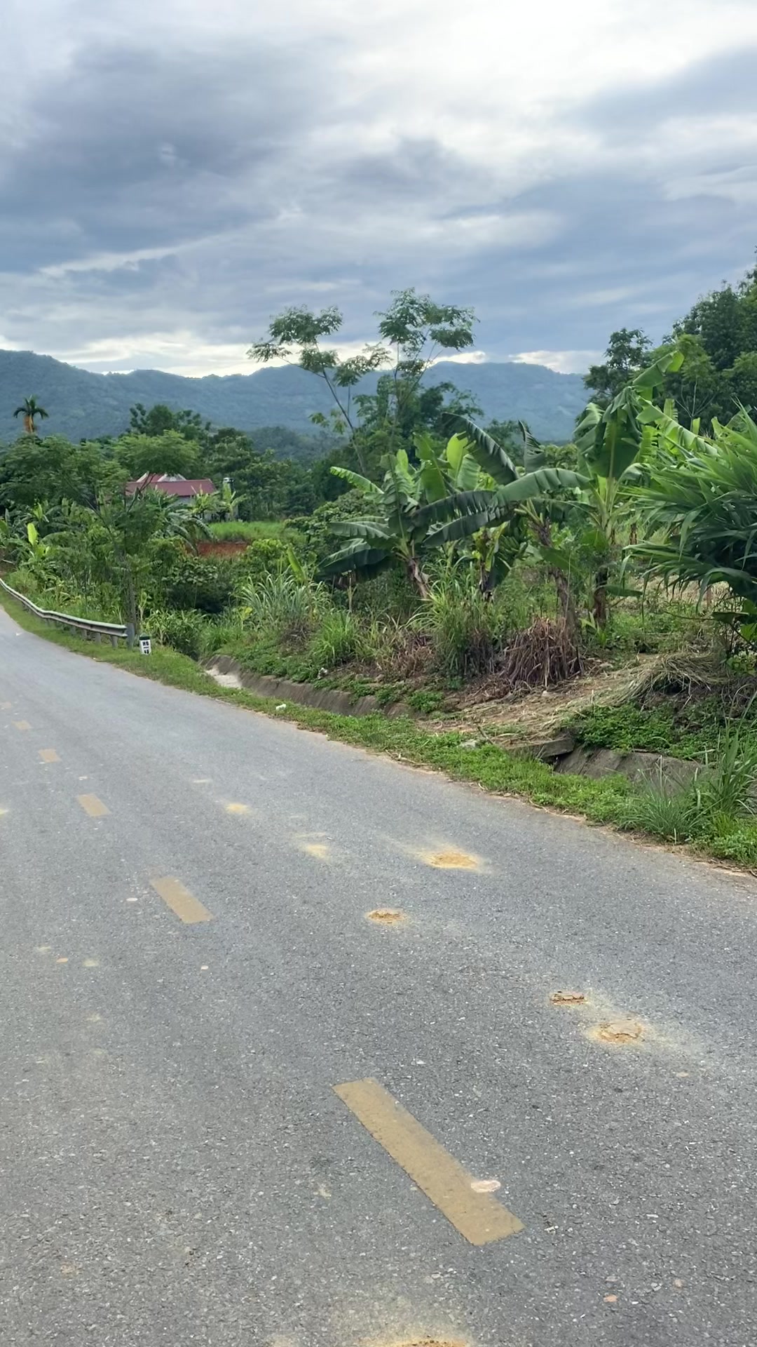 @N&ocirc;ng đức long