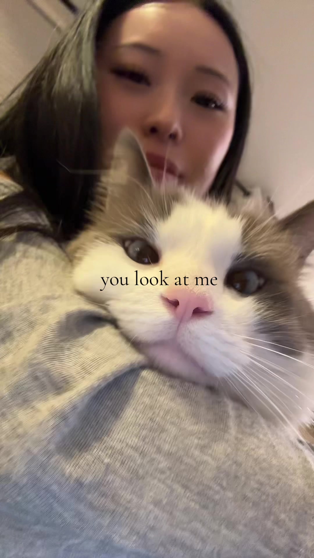 @$waglordmeow