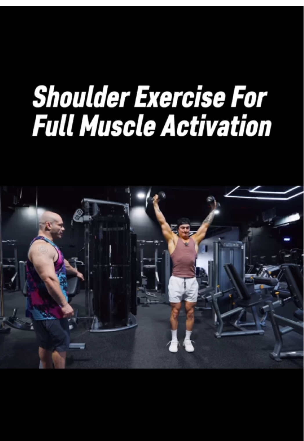 @theschoolofgains