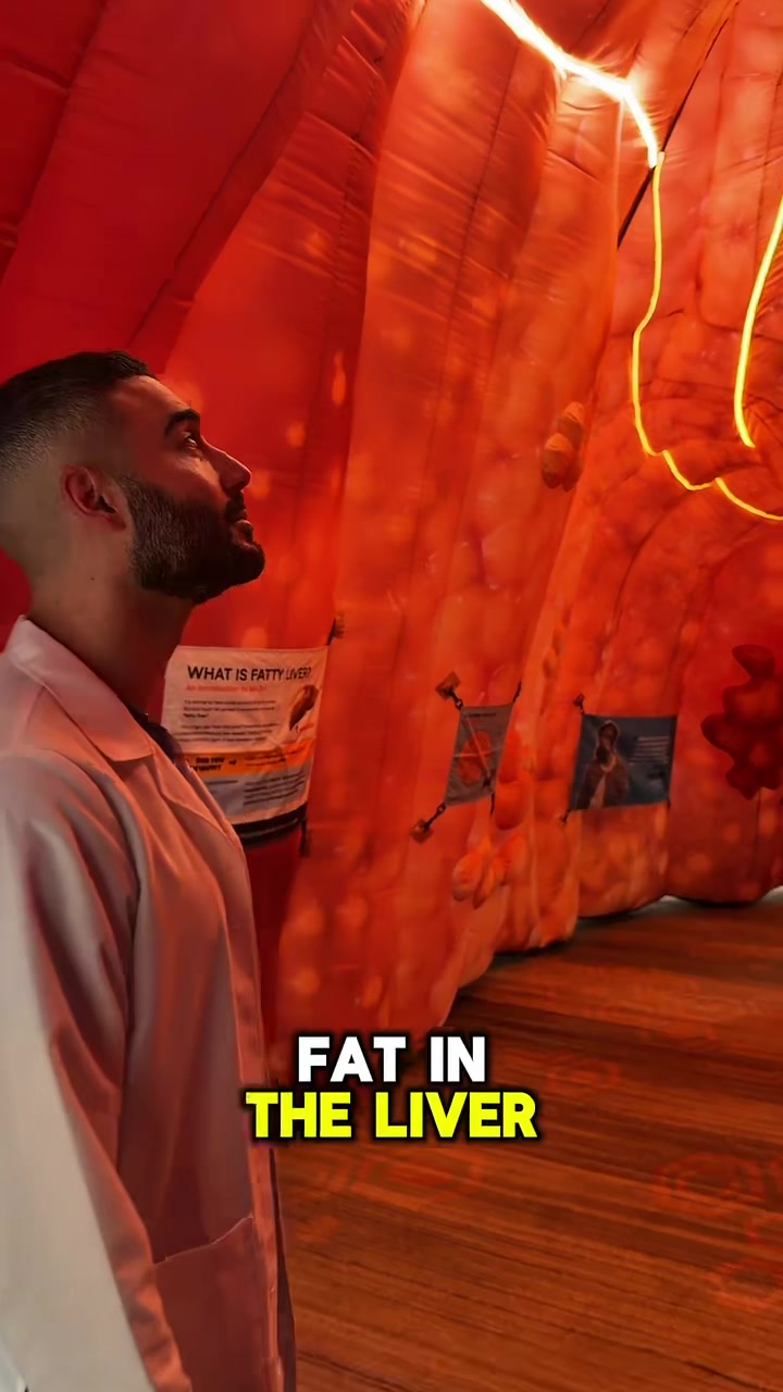 @Dr. Joseph Salhab
