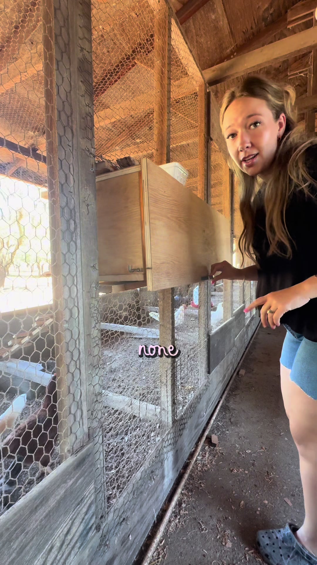 @allyroseferrara