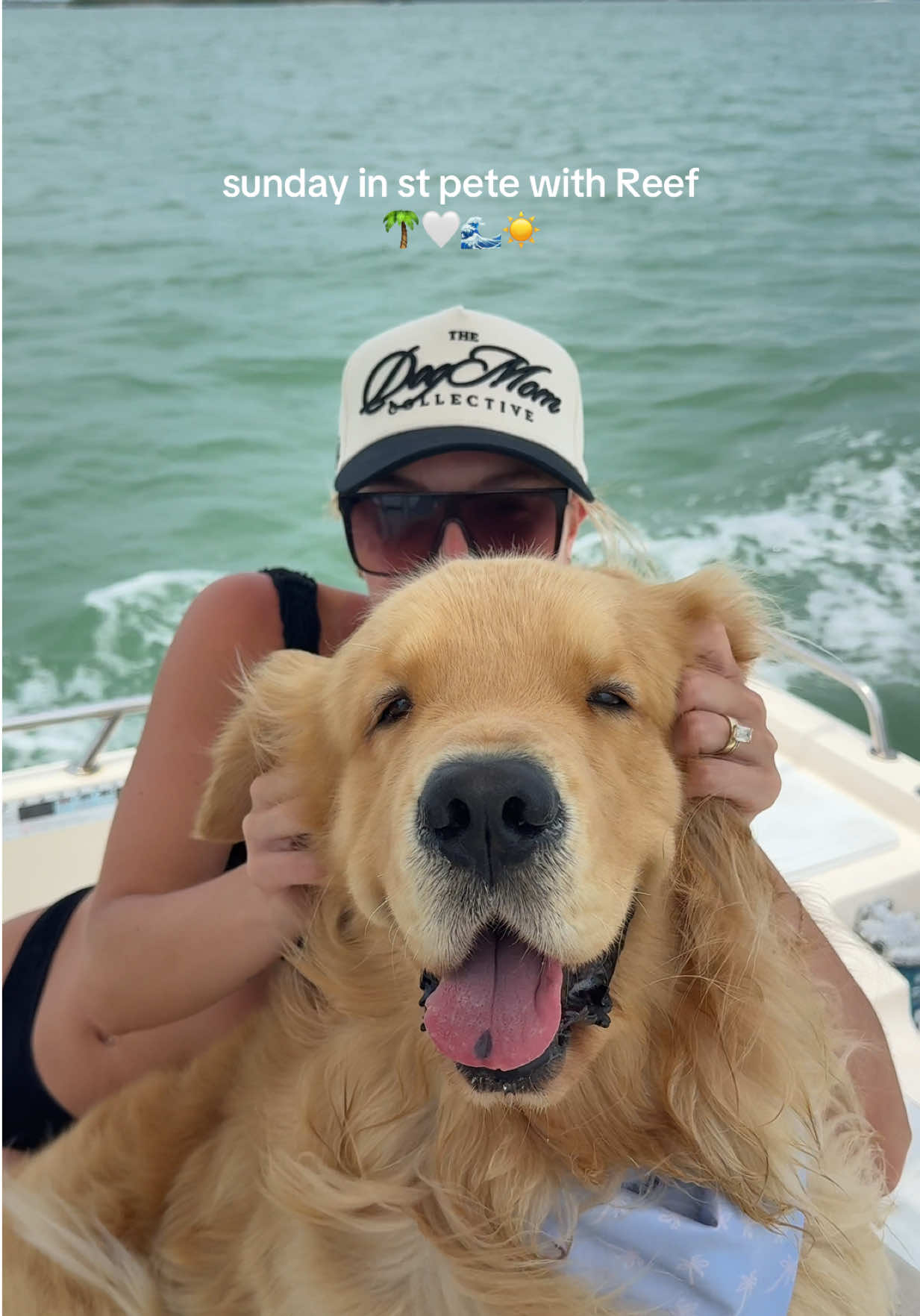@reef the golden