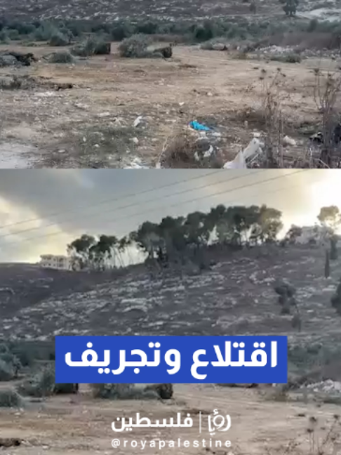 @Royapalestine رؤيا فلسطين