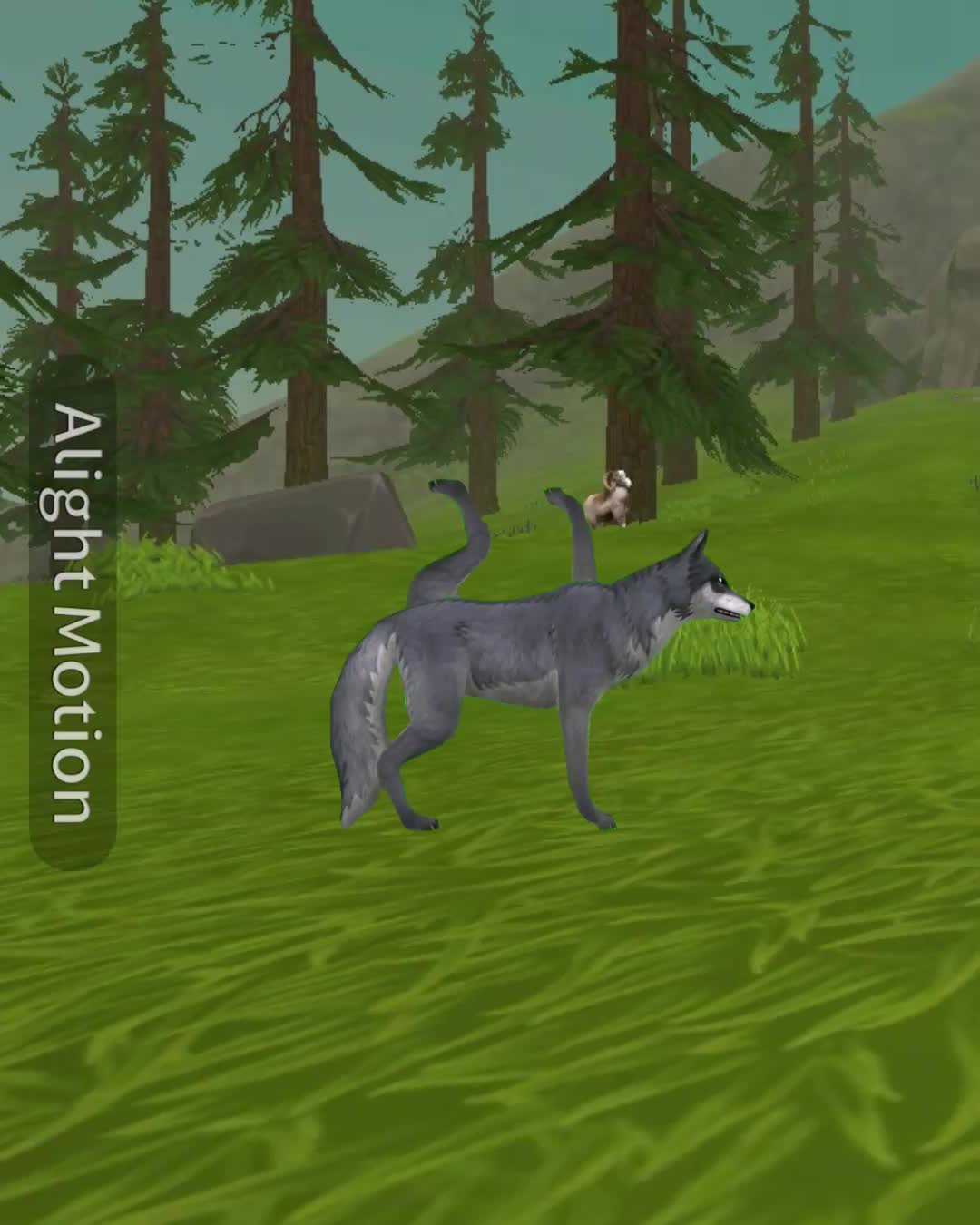 @&iexcl;★Bella Q.C WOLF★&iexcl; [泰国人]