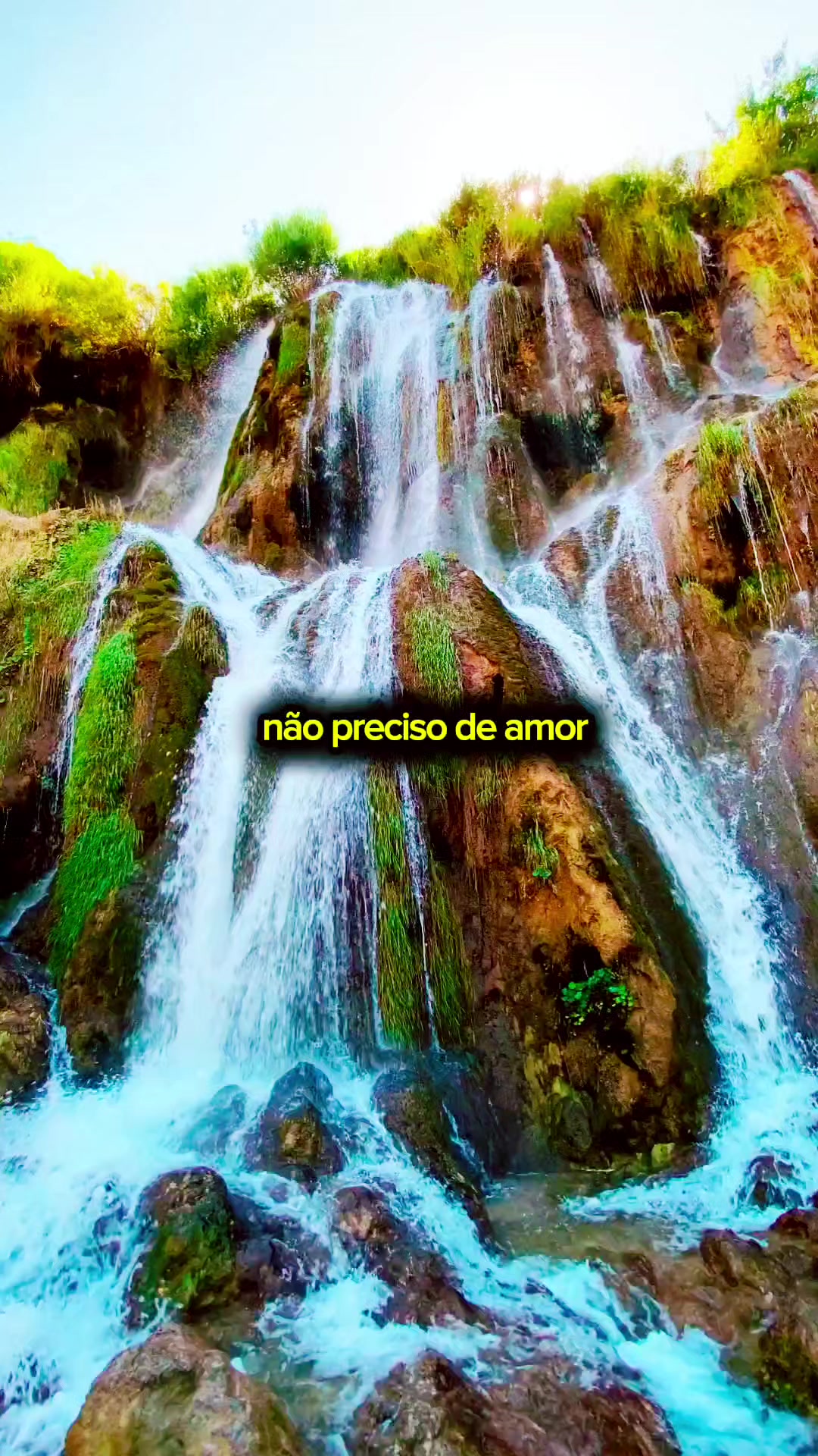 @só modão