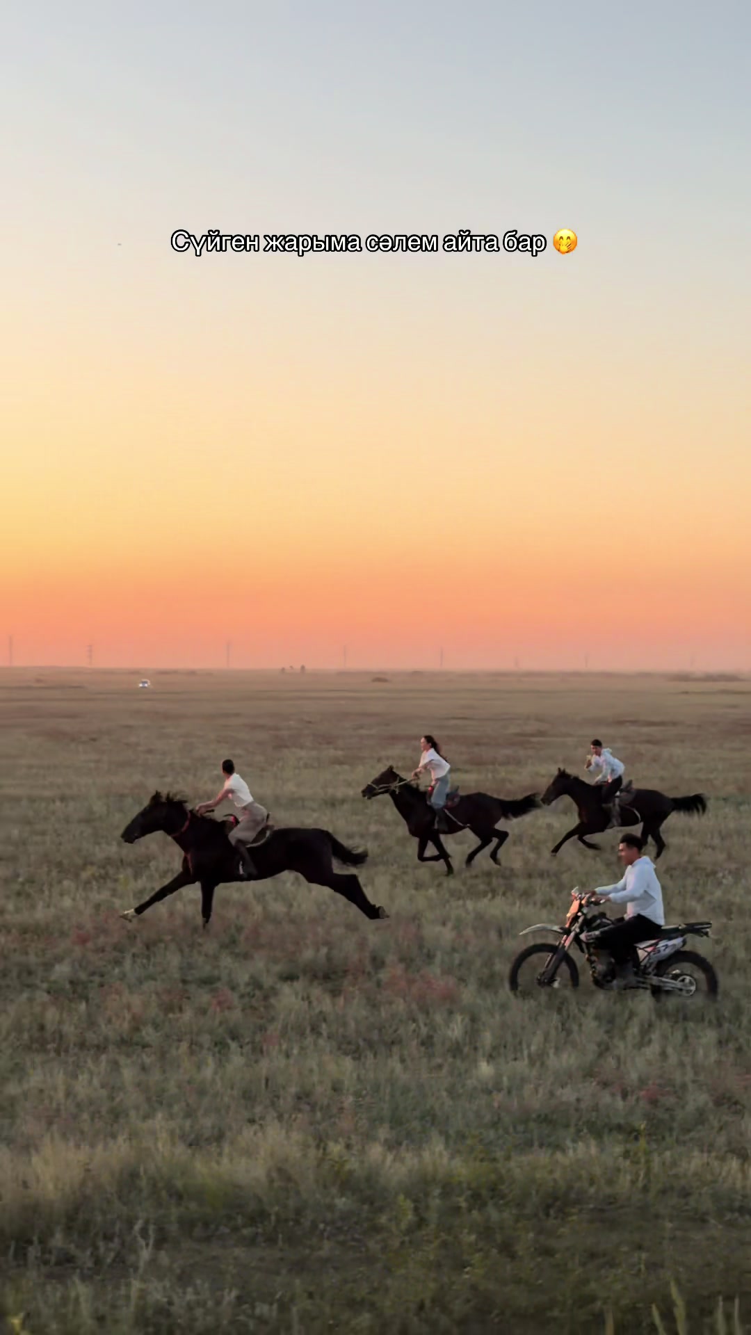 @NAZEKA🐎