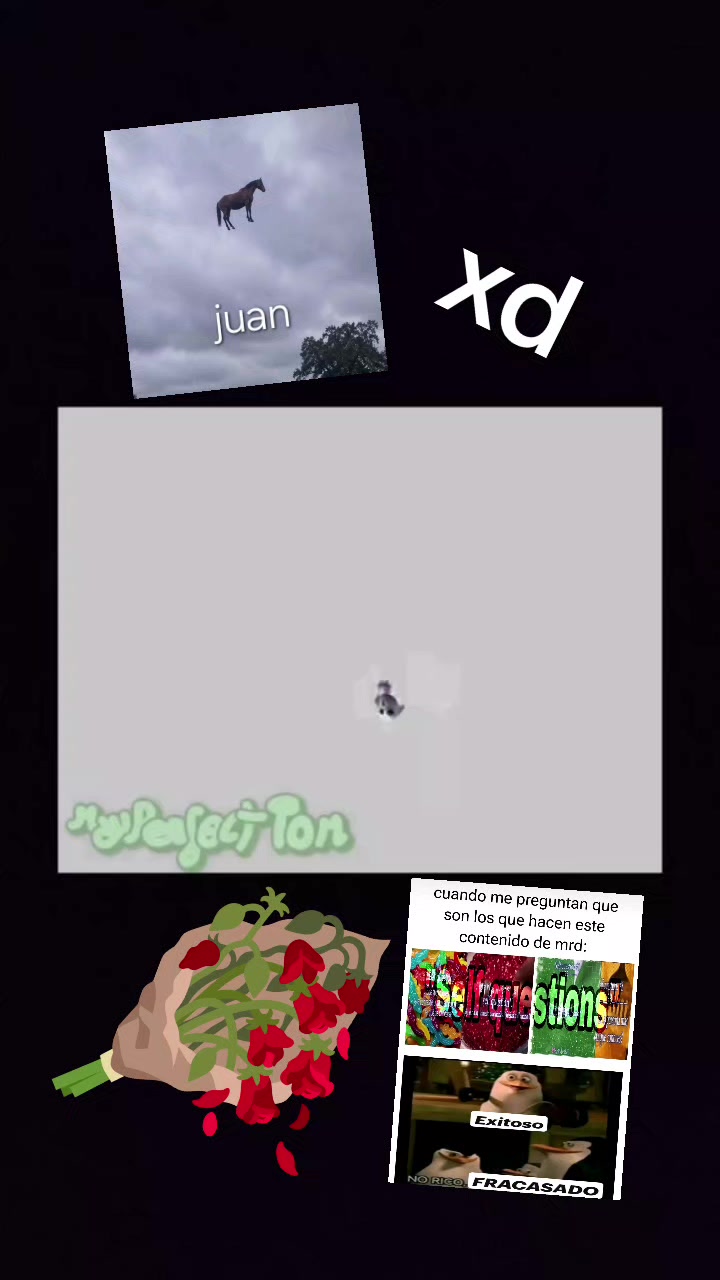 @gustavo