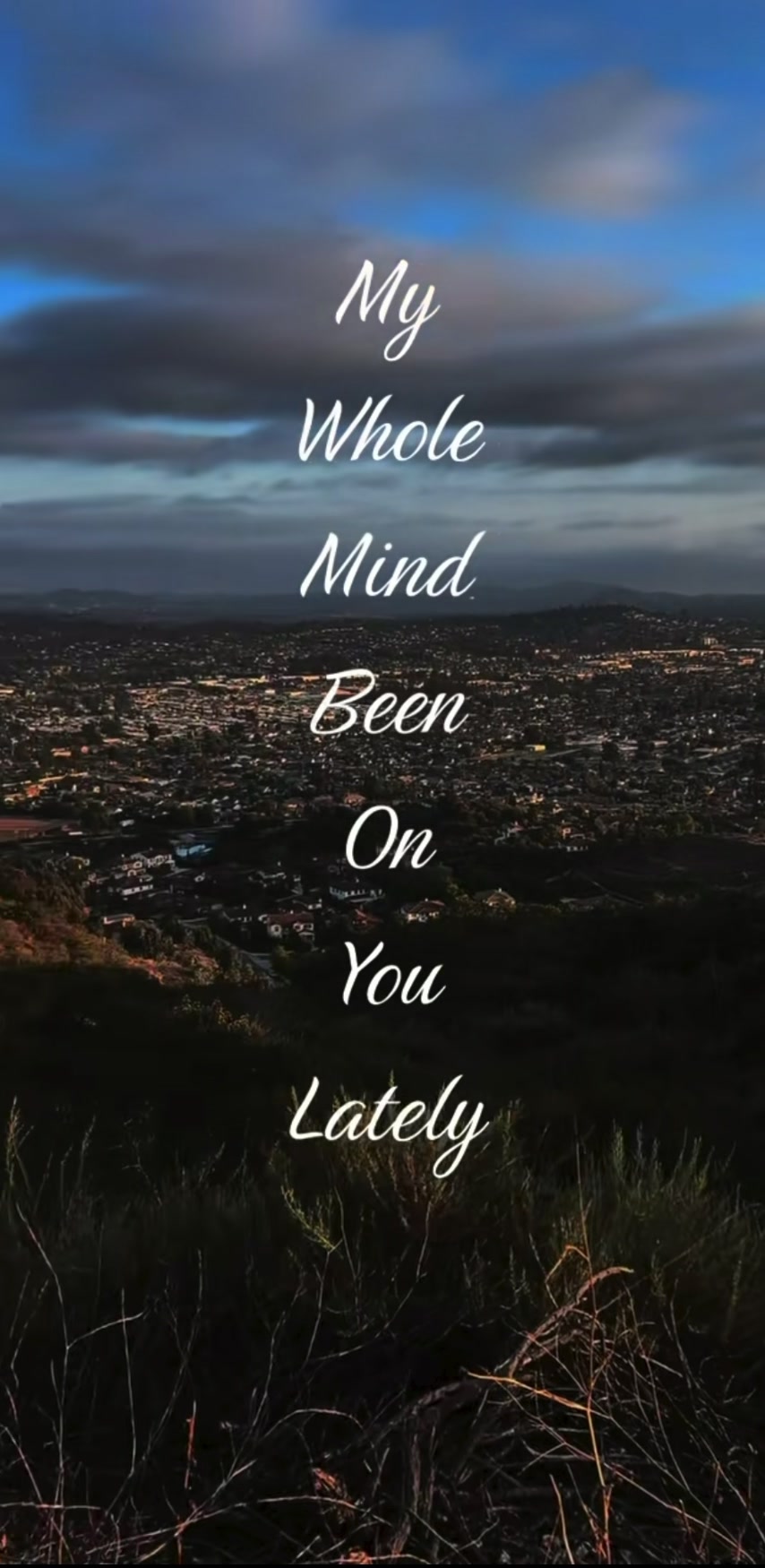 @rad_brody